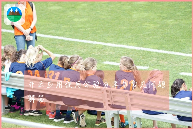 开云应用使用体验分享与常见问题解答