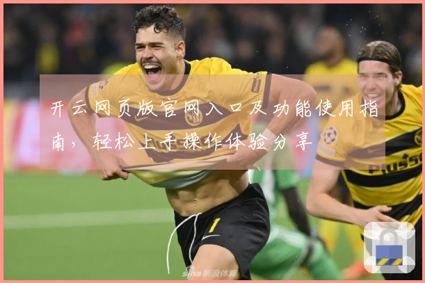 开云网页版官网入口及功能使用指南，轻松上手操作体验分享